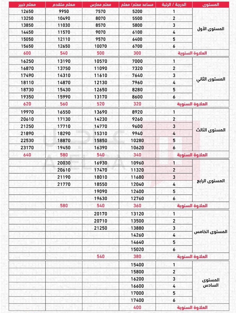 كم راتب المعلمه